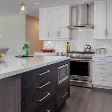 Transitional Home Remodel in El Segundo, CA.