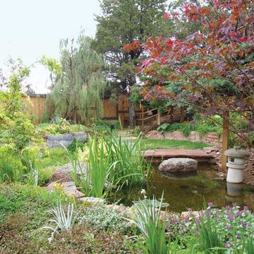 Featured Serene Interactive Garden