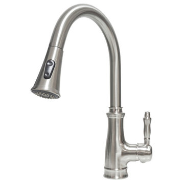 Pull-Out Kitchen Faucet, Brushed Nickel