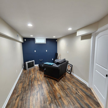 Basement Finish with Full bathroom addition and Office