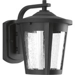 Progress Lighting - Progress Lighting 1-9W LED Wall Lantern, Black - Medium LED Wall lantern with contemporary styling and clear seeded glass. 120V AC replaceable LED module, 623 lumens, 3000K color temperature and 90+ CRI.