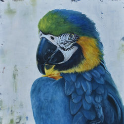 Macaw 2- Rebecca HIll - Paintings
