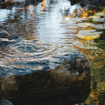 Privatgarten mit Teich