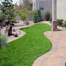 side yard at farm