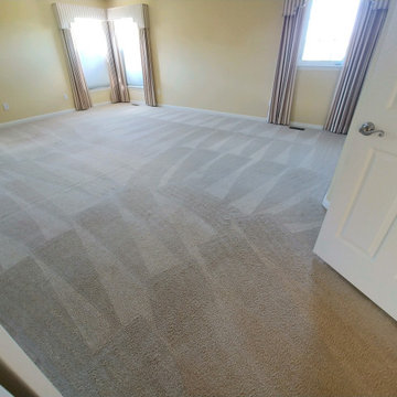 Carpet Cleaning in South Lyon, MI