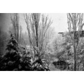Vineet Gupta's photo