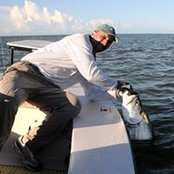 Mike Geraci's photo
