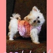 Carrie Dorn's photo