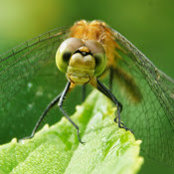 Chris Michaud's photo