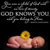 Lori Shear Brimberry's photo