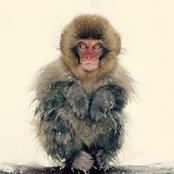Photo de Igor Arabaolaza