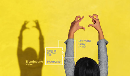 Pantone Picks an Uplifting Combo for Its Color of the Year 2021