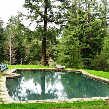Nicasio Garden - Marin