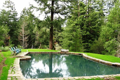 Example of a mountain style backyard custom-shaped pool design in San Francisco