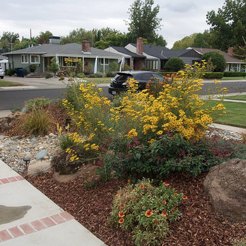 Landscape Designs