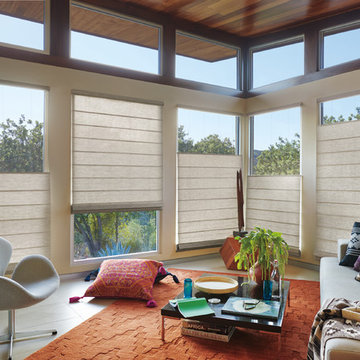 Hunter Douglas Window Treatments