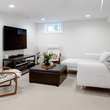 Rosedale Ave Basement Remodel