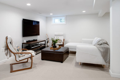 Example of a basement design in DC Metro
