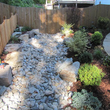 Back Yard Re-fresh