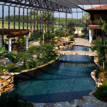 Sheltered Backyard