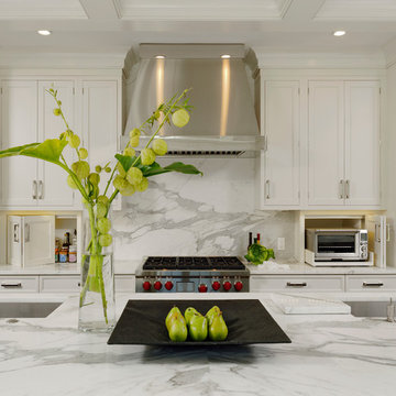 Great Falls, Virginia - Traditional - Kitchen Design