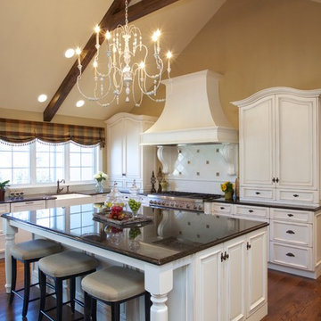 Kitchen Remodeling in Western Springs