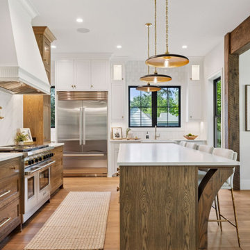 Edina, MN Kitchen