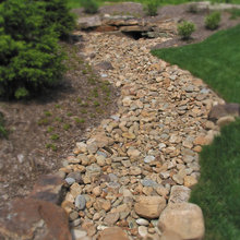 Landscape Ideas