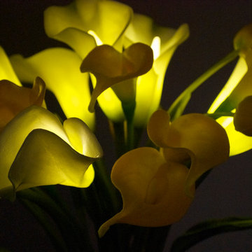 Buttercup - Contemporary Wood