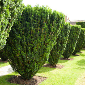 Garden Maintenance | Sandwich