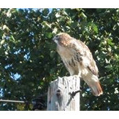 Peter Oleksiuk's photo