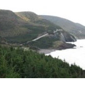 Brenda Siebel's photo