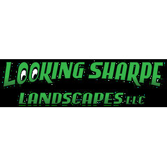Looking Sharpe Landscapes