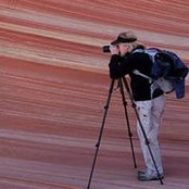 Marla Howard's photo