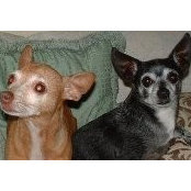 Marie Fine's photo