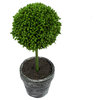 Mini Seed Ball Topiary Tree 3x9.5" Set Of 3 Black