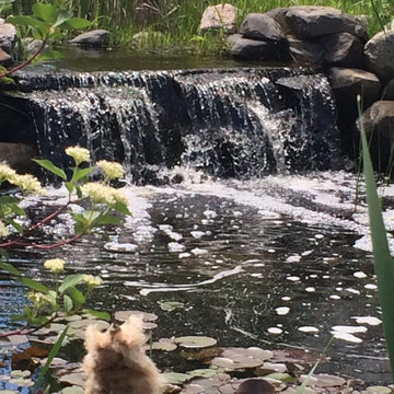 Water Features