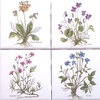 Herb Ceramic Tile 4.25" x 4.25" Primula Officianalis set of 4 Flower Kiln fired