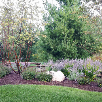 Border Bed