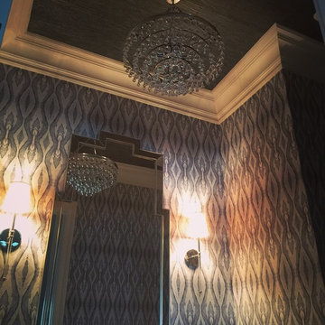 Carolina Panther's Powder Room/ Office