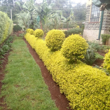 Mkinduri Gardens