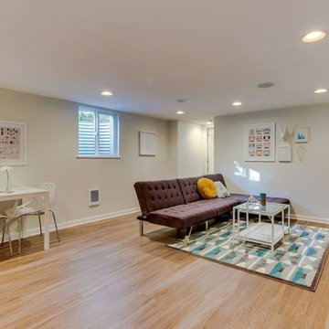 Fresh Basement Renovation