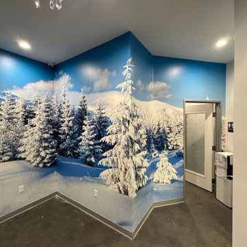 Denver Commercial Wallpaper Installation