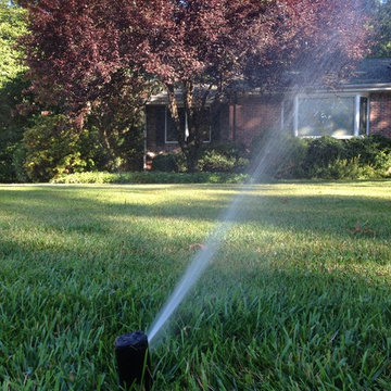 No Damage to Lawn
