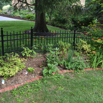 DIY Landscape - Woodland or Shade Gardening