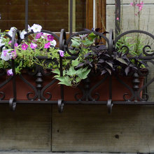 Window boxes
