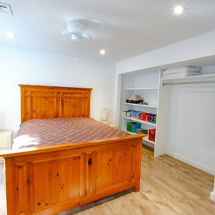 Modelo de sótano con puerta clásico, de tamaño medio, con paredes blancas, suelo vinílico y suelo beige