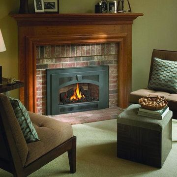 32 DVS Deluxe Gas Insert
