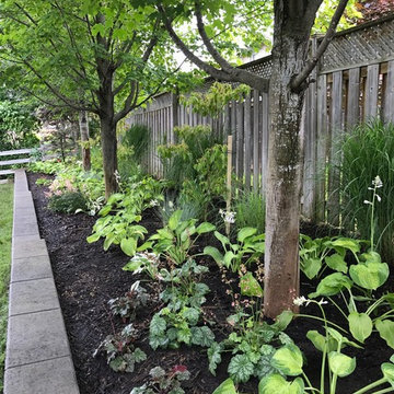 AFTER - Raised Garden Under Maple Trees