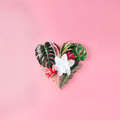 Amanda Cook's photo